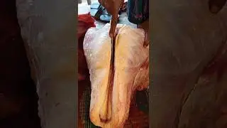 Sina beef cutting professional. #shorts #best #sina #beefcuts #orofessional #beefslice #knifeskills