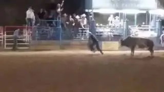 First bull ride!