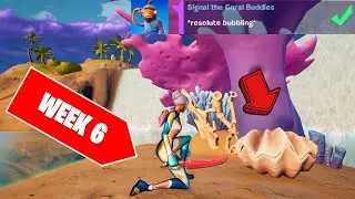 Signal the Coral Buddies (3) | Fortnite Week 6 Epic Quests