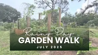 July 2025 Rainy Day Florida Food Forest Garden Walk