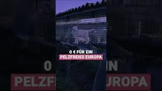 0&euro; um Tierleid zu stoppen | VIER PFOTEN