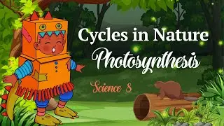 GRADE 8 MATATAG QUARTER 1: Lesson 7: CYCLES IN NATURE PHOTOSYNTHESIS_PART 1