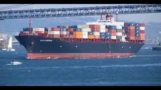 Top Ships Inc (TOPS)This is why the price will stay down this year 2020