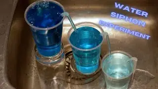 Water Siphon Experiment