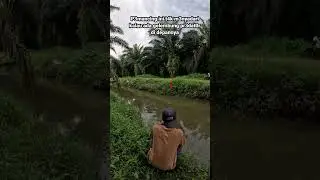 PEMANCING INI TAK MENYADARI KALAU ADA GELMBUNG PREDATOR DI DWPANNYA #shorts