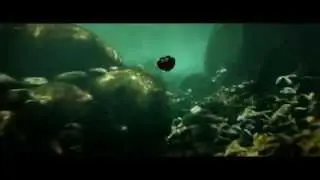 Букашки: Приключение в Долине муравьев | Minuscule - La vall&eacute;e des fourmis perdues
