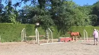 Ekinoxe oxer