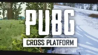 is pubg cross platform | is pubg crossplay