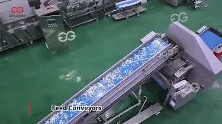Fresh Cut Salad Production Line: Washing, Cutting, Mixing, Packing