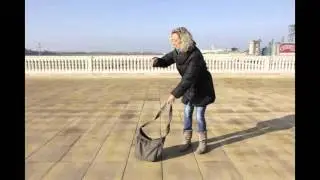 Animaci&oacute; 1