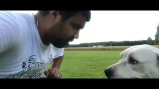 Fetch motivation