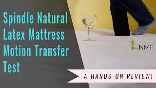 Spindle Motion Transfer Test