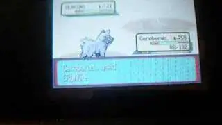 Pokemon Sapphire Poochyena Only Run; Norman