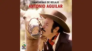 La Cantinera