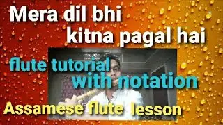 Mera dil bhi kitna pagal hai ! beginners flute lesson !