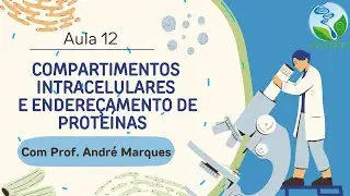 Aula 12: COMPARTIMENTOS CELULARES E ENDEREÇAMENTO DE PROTEÍNAS. Compartimentalizaçãodas células.