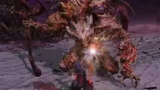 Dreglord Scholar Solo (DLC Final Boss) - Elden Ring Nightreign Forsaken Hollows DLC