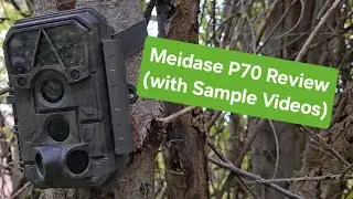 Meidase P70 Trail Camera Review