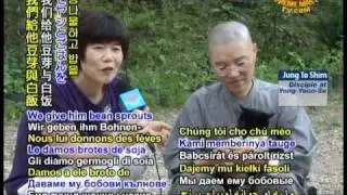 17 VEG NEWS  South Korean Buddhist temple   05 Oct 2010
