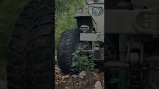 The jungle safari| #monsoon #india #jeep #offroad  #explore #automobile #wildlife #safari #adventure