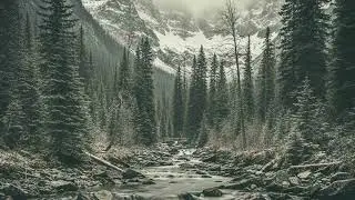 Exodus Prime - Velvet Void (Slowed) [Chillstep / Future Garage]