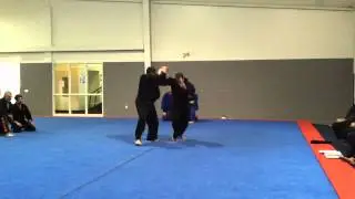San Dan Gaeshi Danzan Ryu Ju Jitsu Technique