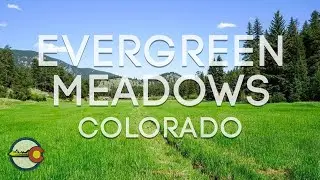 Evergreen Meadows [Neighborhood Tour]