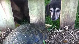 that is not a to go box.