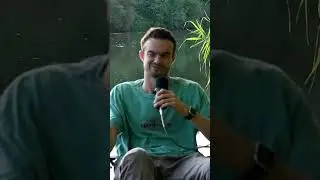 Mindset Transformation durch Social Media Detox #plauschecke #podcast #talk #viral #contentcreator