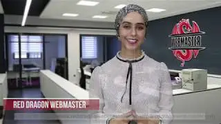 Red Dragon Webmaster - Arabic SEO