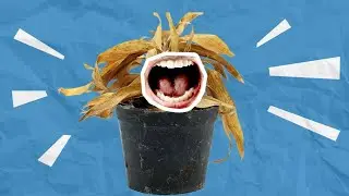 Screaming of plants ☘️