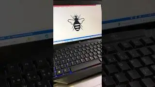Shortcut Key In MS Word for Honeybee | Amazing Shorts | ODI Tech