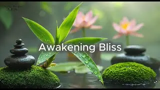 Awakening Bliss &ndash; Spa Piano, Harp & Flute | Peaceful Nature & Healing Music 🌿