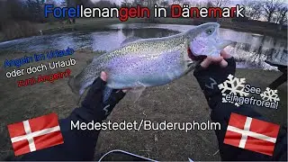 Forellenangeln in D&auml;nemark Medestedet & Buderupholm #angeln #forelle #trout #troutfishing