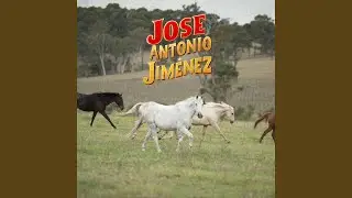 C&oacute;mo Hago para Olvidarla