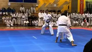 IKD World Cup Video 18