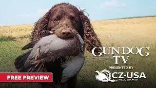 Gun Dog TV | Имейте веру | Бесплатный эпизод