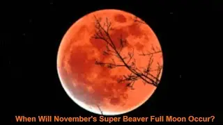 When Will November's Super Beaver Full Moon Occur?