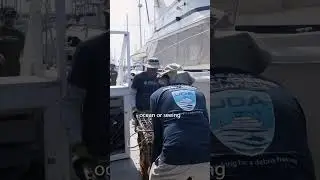 🌎 🌊 The oceans are connected to everything in this world.