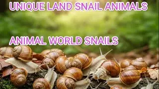 Discovering Unique Snail Colony: #wildlifeSnail #snailfacts #backyardnature 