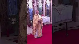 What Happens If a Priest Reads the Wrong Gospel? | #Orthodoxy Fact vs Fiction #Shorts