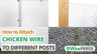 How to Attach Chicken Wire to Posts and Different Materials (EASY METHOD) | WireFence