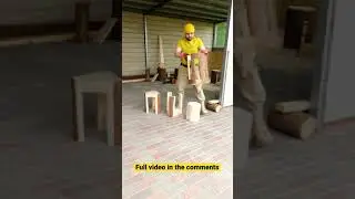 DIY stools and a coffee table from one stump №Shorts