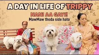 NANI AA GAYI! 😍 Trippy loves Nani more than Mawmaw? Watch to know