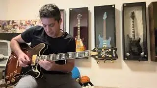 “Every summer night” Pat Metheny group - guitar solo