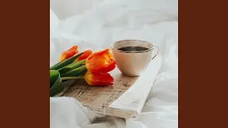 Midnight Brew