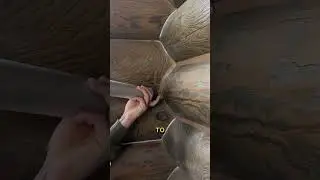 Самая редкая, но очень нужная профессия в наше время