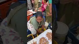 मांदेली | Mandeli | Anchovy Fish
