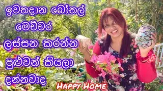 ඉවතදාන දේවල් වලින් කොච්චර ලස්සන දේවල් කරන්න පුළුවන්ද