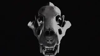Simula - Maw | Bassrush Records